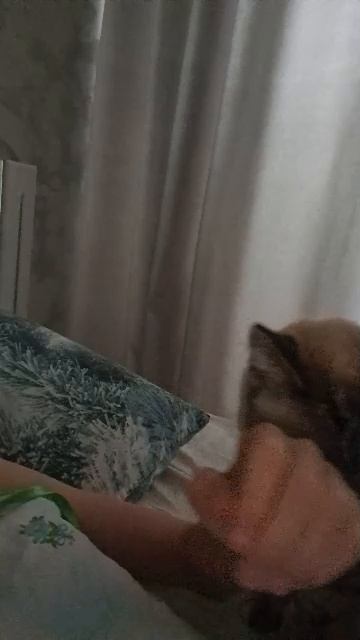 а