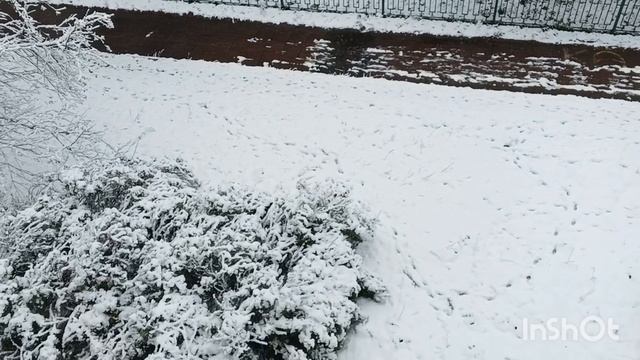 Падал СНЕГ❄