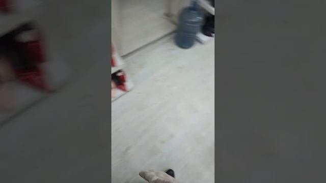 Turkey Fabrica Склады Турции в прямом эфире!