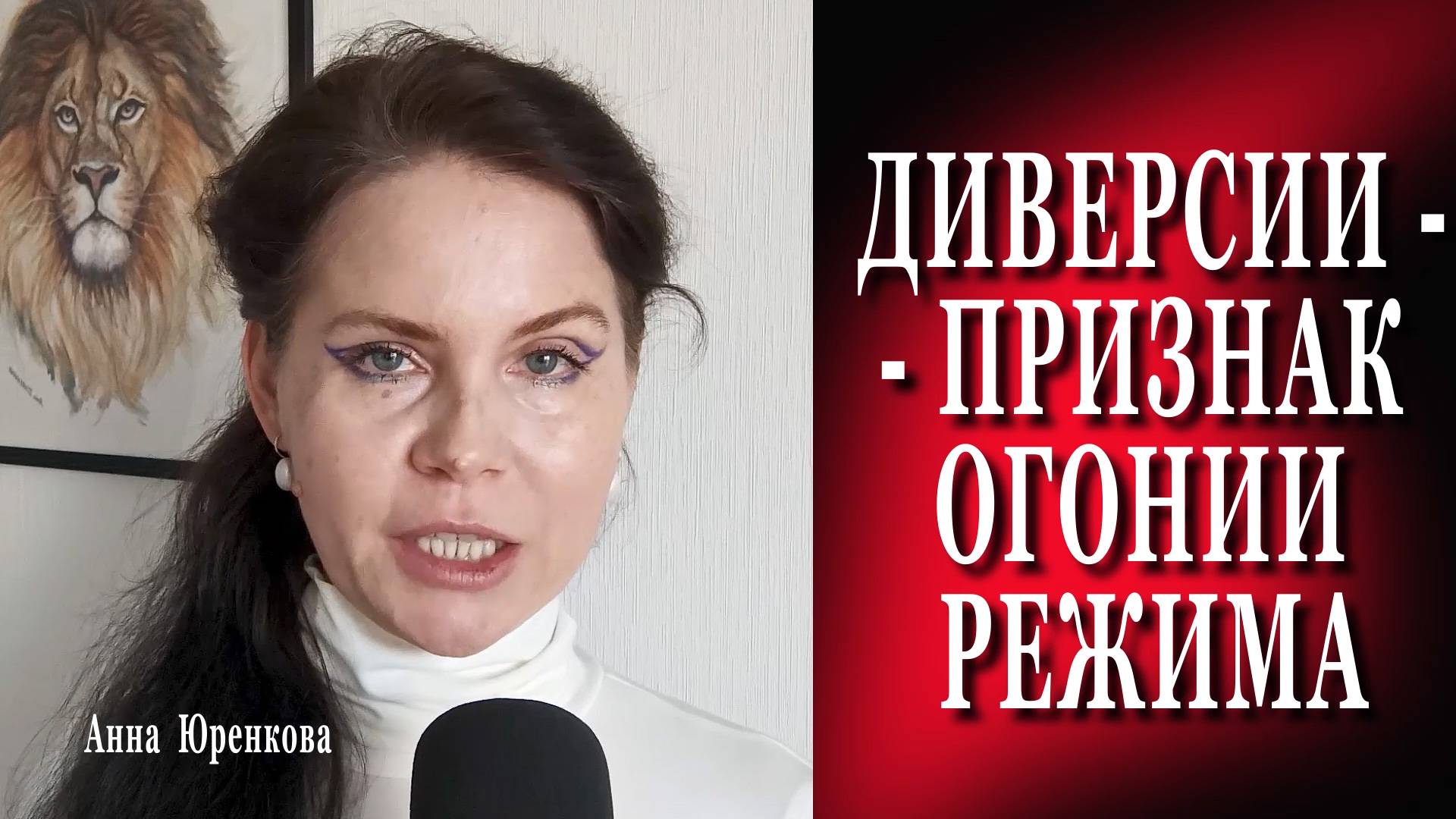ДИВЕРСИИ - ПРИЗНАК ОГОНИИ РЕЖИМА #политика #европа #украина #дроны #диверсии