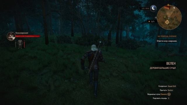 The Witcher 3 Wild Hunt ч5