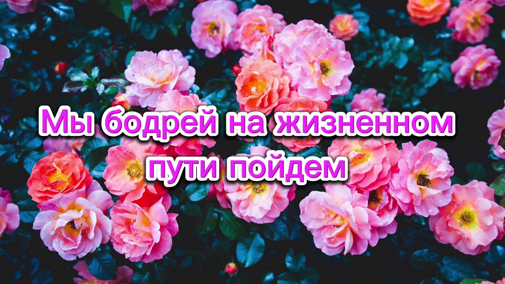 Мы бодрей на жизненном пути пойдём