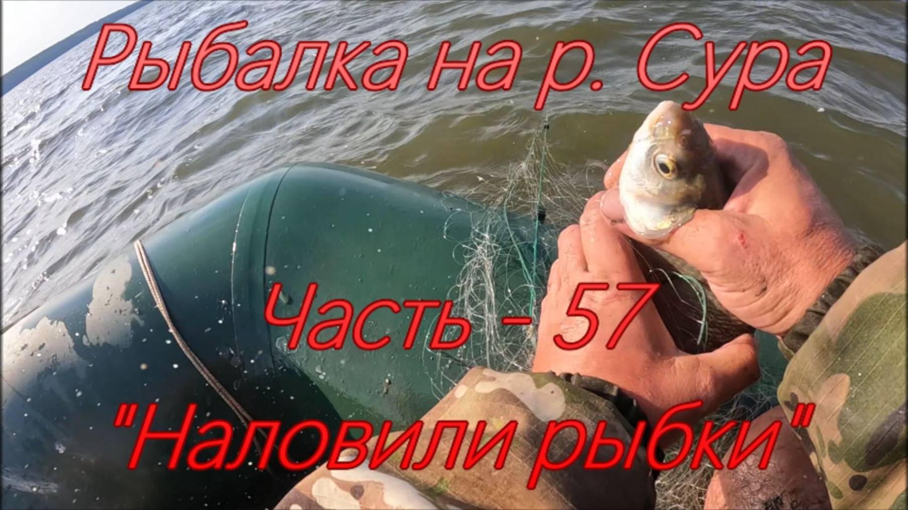Рыбалка на р. Сура. Часть - 57. Наловили рыбки.