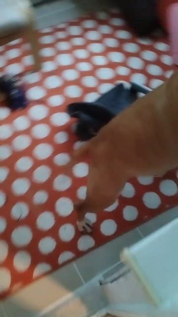 Сабонис (привет из дома)