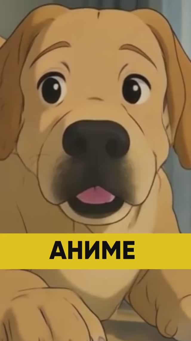 Любишь аниме?
