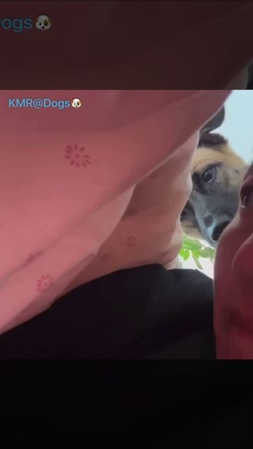 Если хочешь стать амбалом, ешь один под одеялом☝️🙂