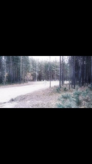небольшая история КАК Я ВСТРЕТИЛА СИРЕНЕГОЛОВОГО🌑