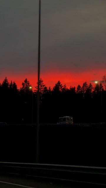 Дорога домой 👍