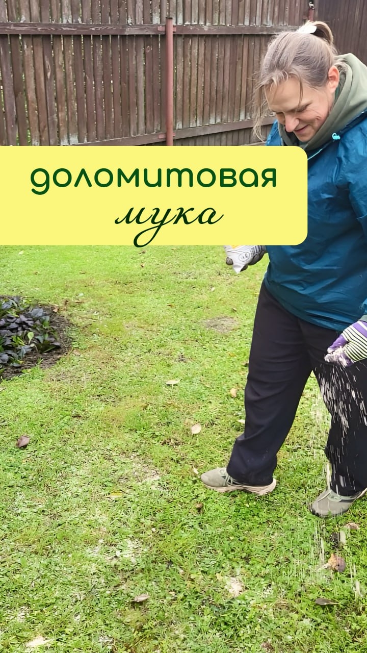 ДОЛОМИТОВАЯ мука