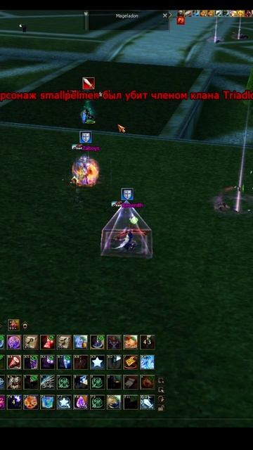 Осада в Lineage 2 - за 126 Творца Сияния! Грибы vs Triadlon