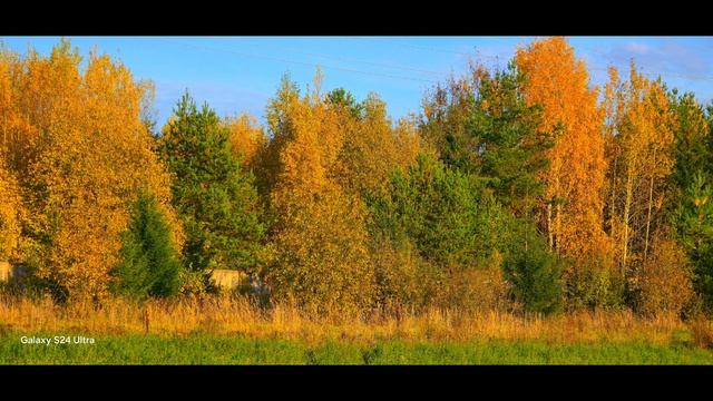 золотая осень