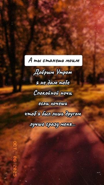 🍂🍂🍂