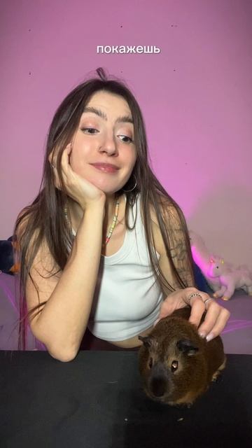 А какие животные есть у вас?