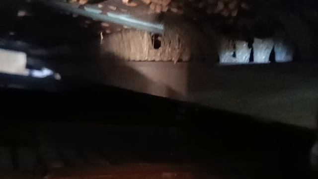 Травосемяочистительная машина Fortschritt К218 Selektra экспресс-обзор от Константина Сорокина