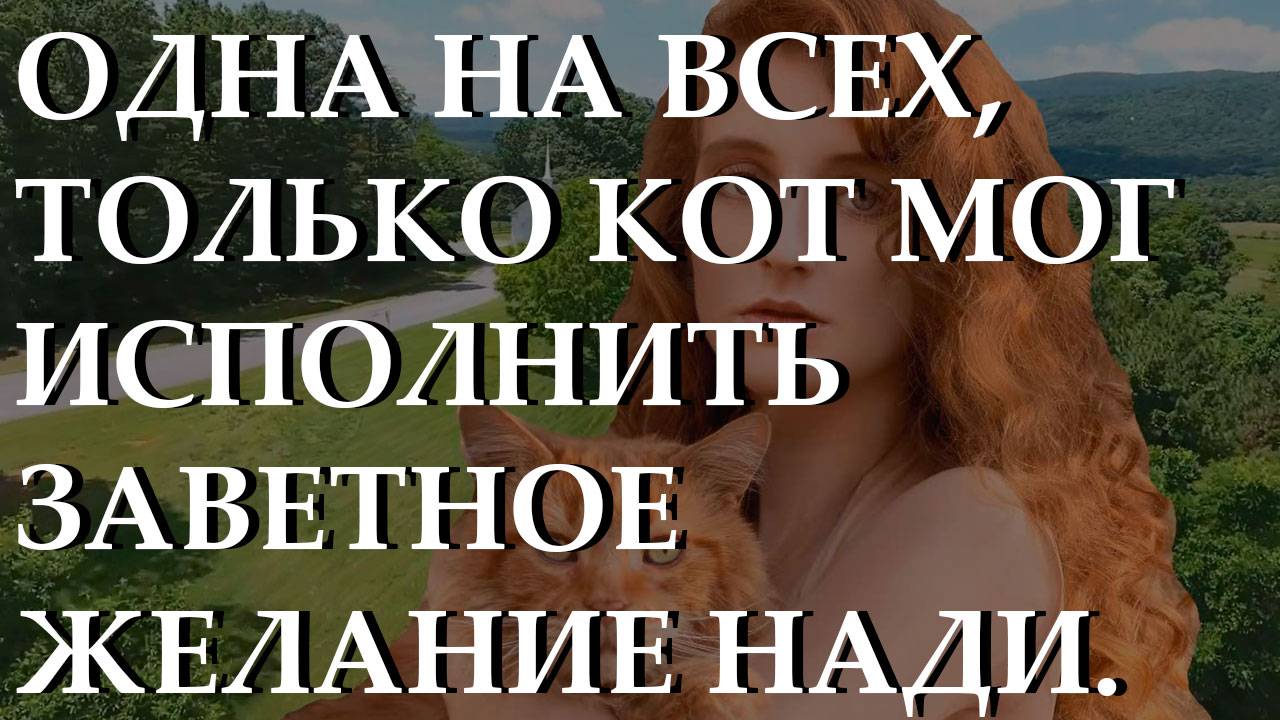 Одна на всех, только кот мог исполнить заветное желание Нади. История из жизни.