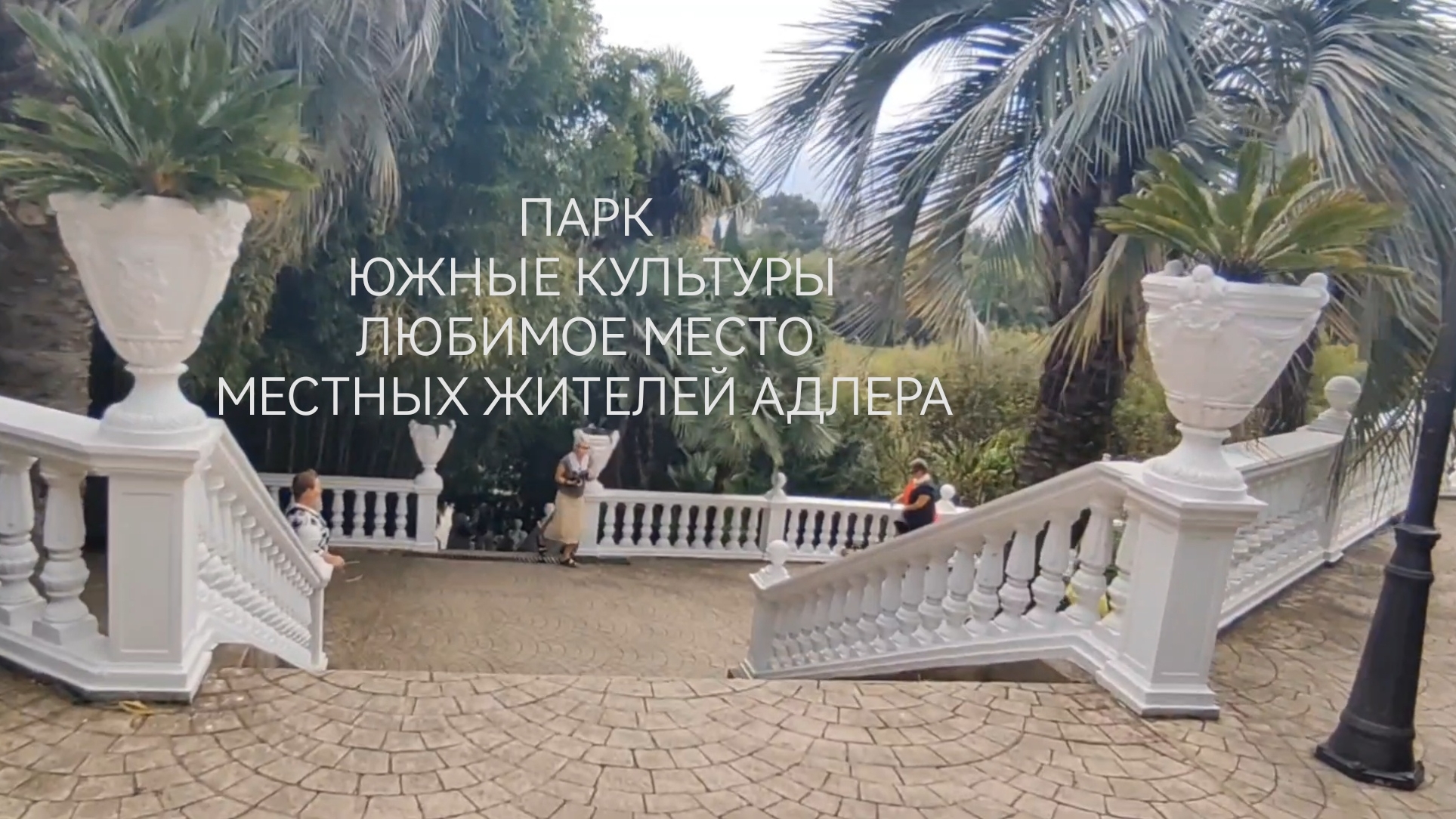 Адлер Сириус парк ЮЖНЫЕ КУЛЬТУРЫ  октябрь 2025