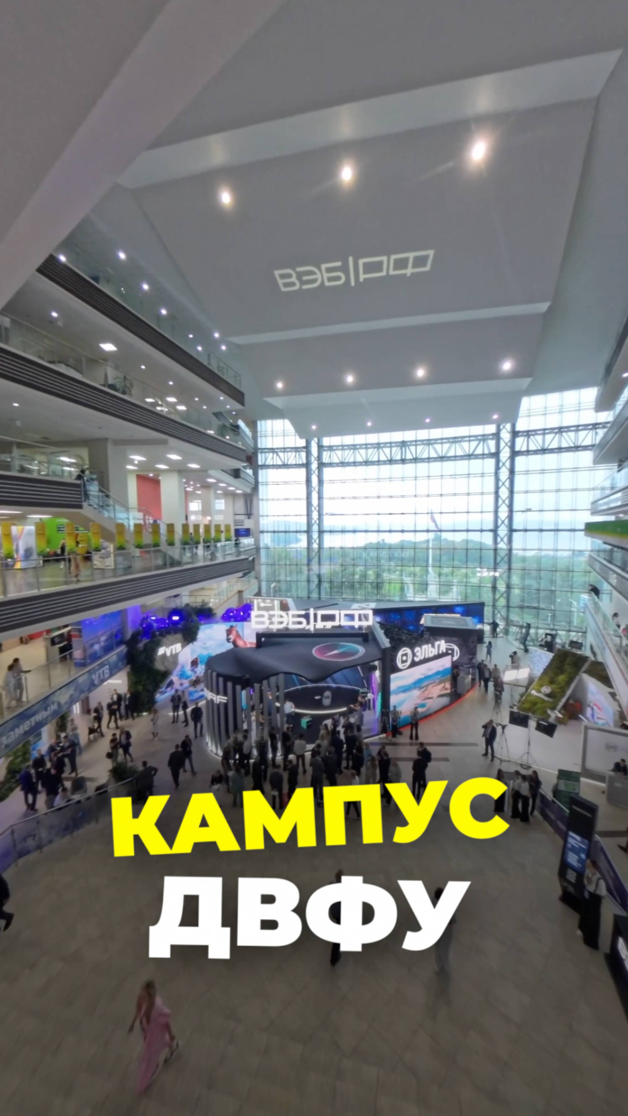 Кампус двфу