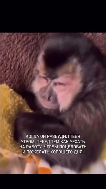 Дай поспать еще 🤣😆