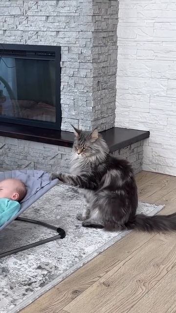 ogirJ64iC3nNuJZBITC024Pu2yEBQqw6bmEbA.mp4