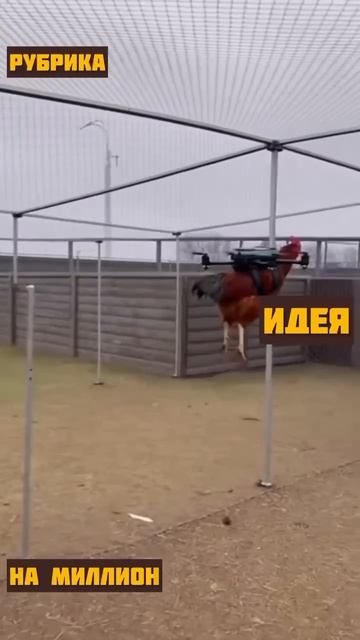 🤣🤣🤣
