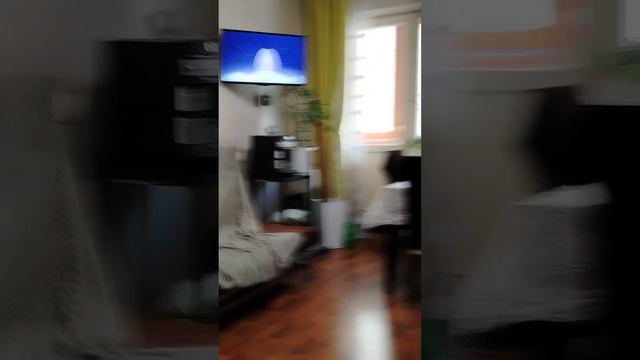 утро с басиками.