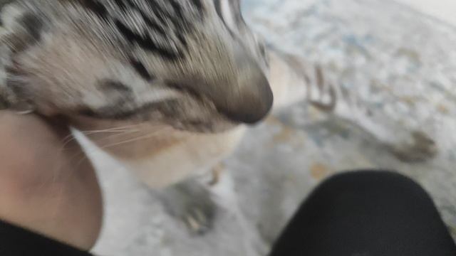 спасибо друзьям