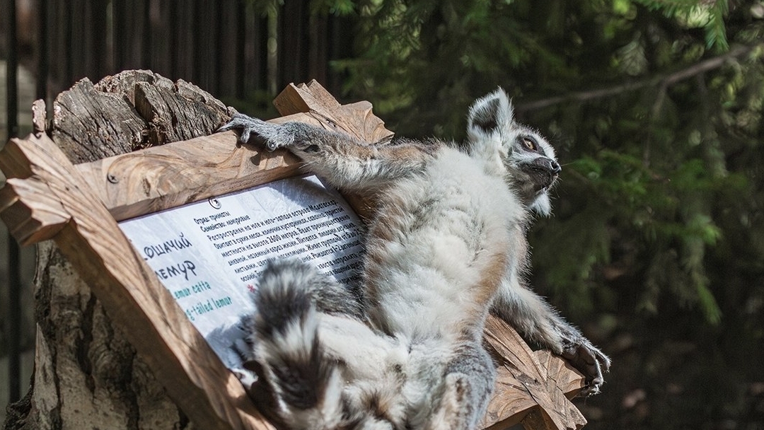 Первый снег ❄️🌨☃️
