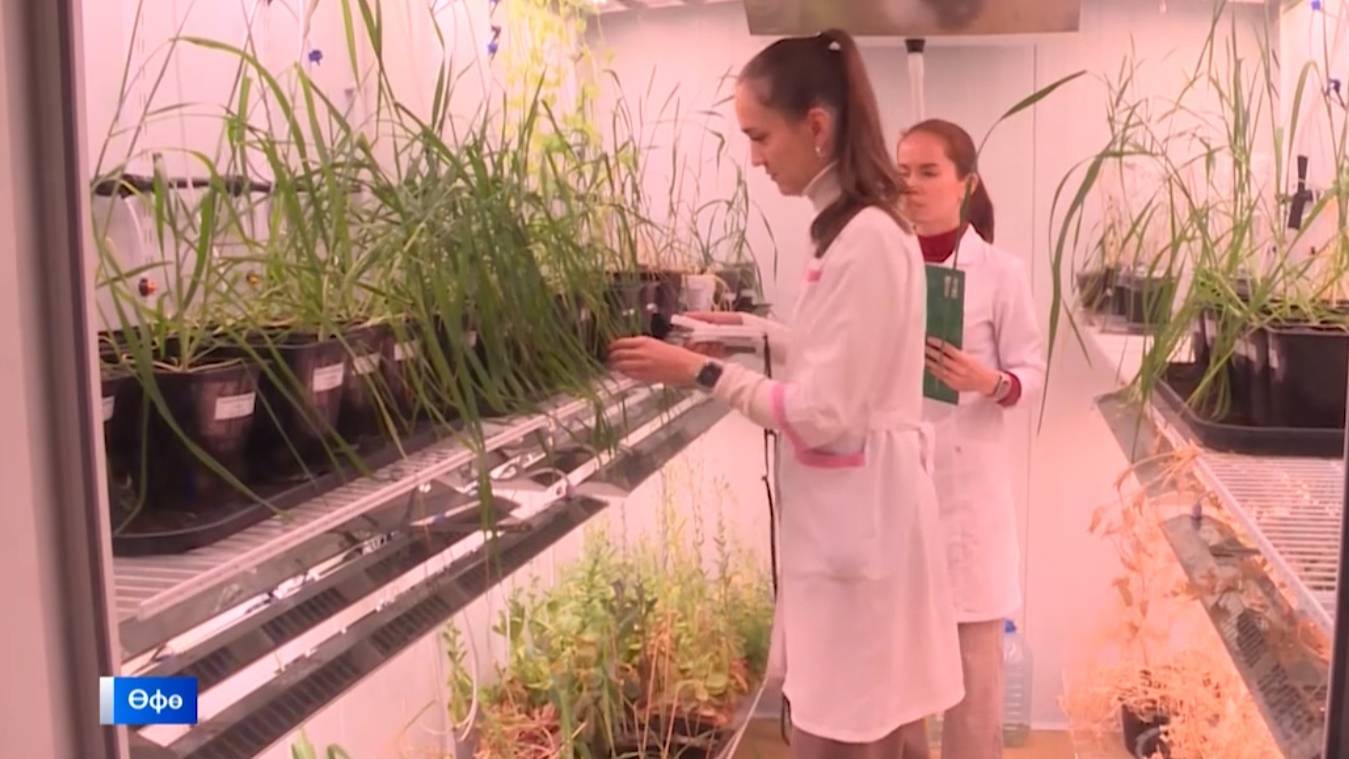 Башҡортостанда Экобиотех конференцияһы үтте