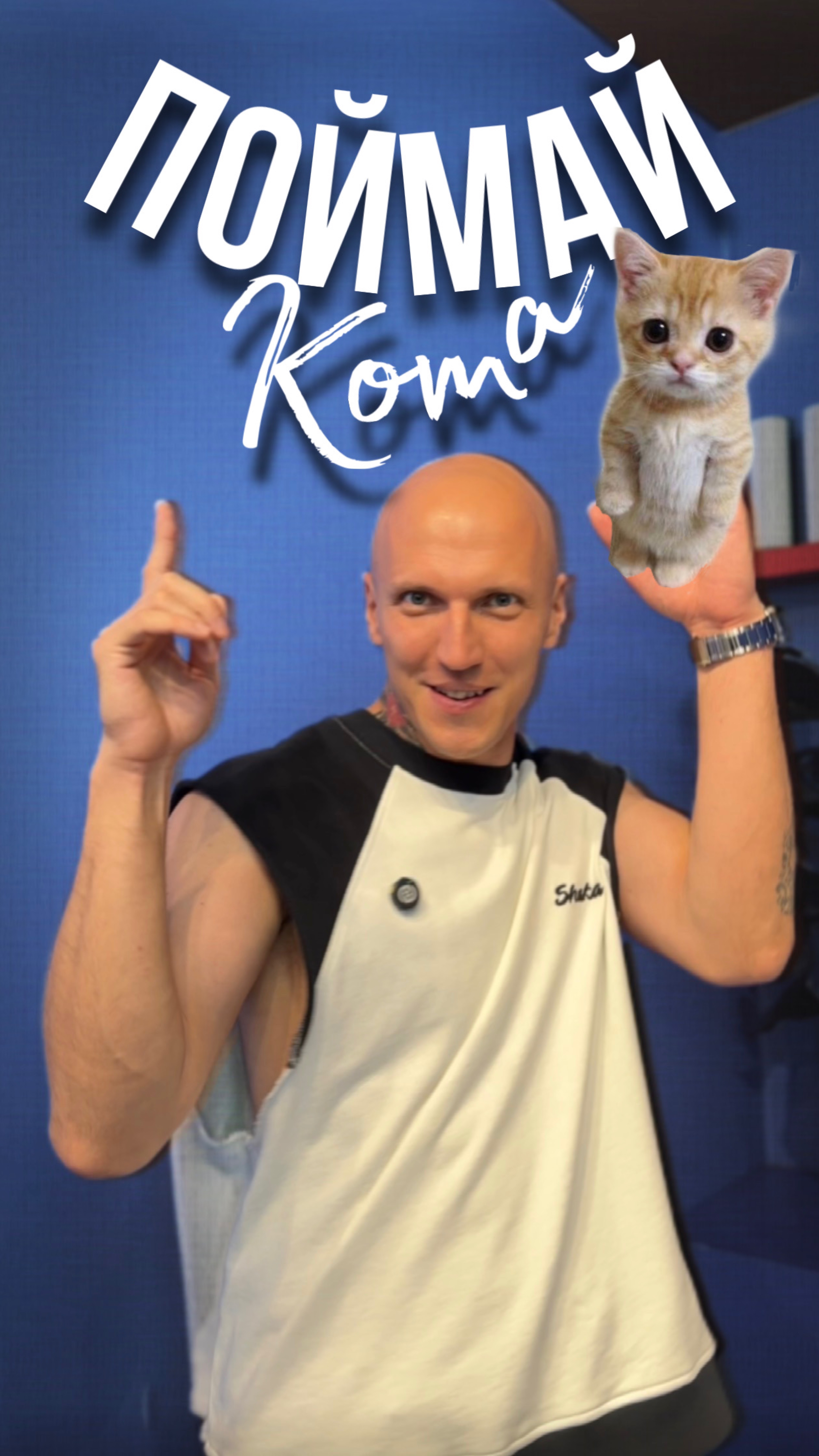 ПОЙМАЙ КОТИКА😻