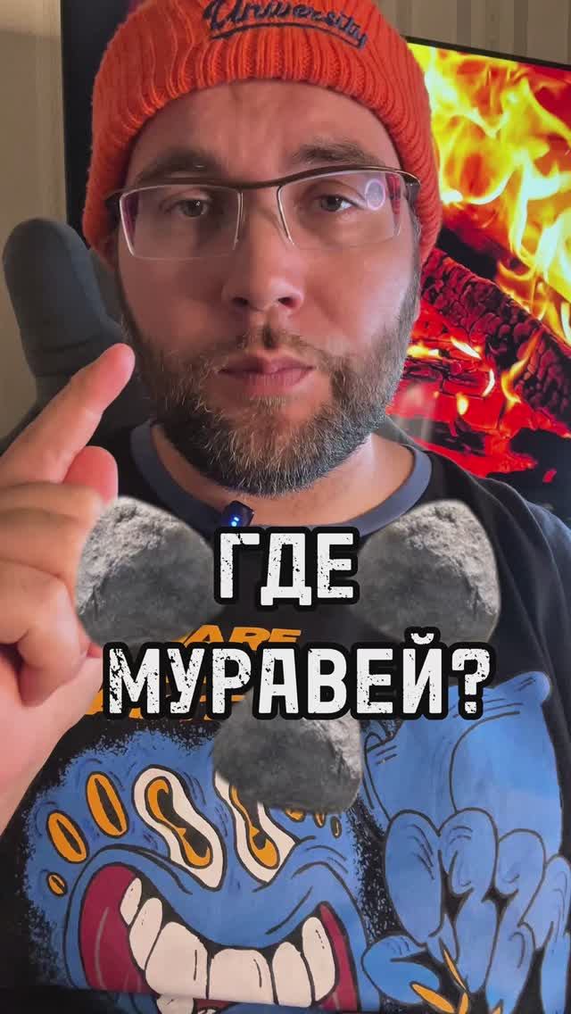 Под каким камнем муравей? #интуиция #игра #муравей