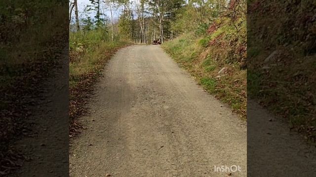 Сахалин. Подъемник Горный воздух