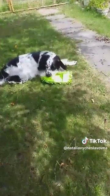 Помогатор...)))