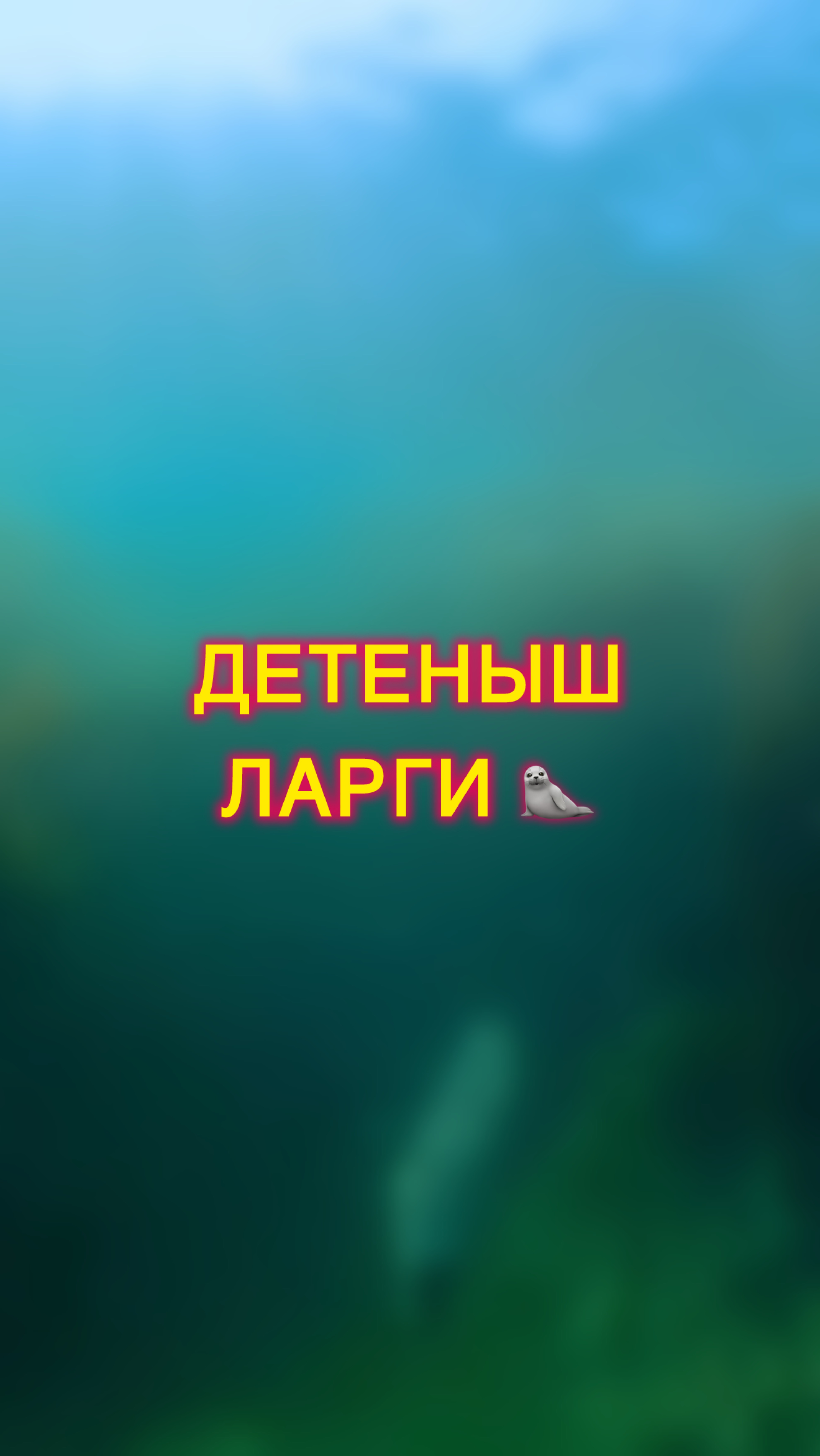 Морской тюлень 🦭
