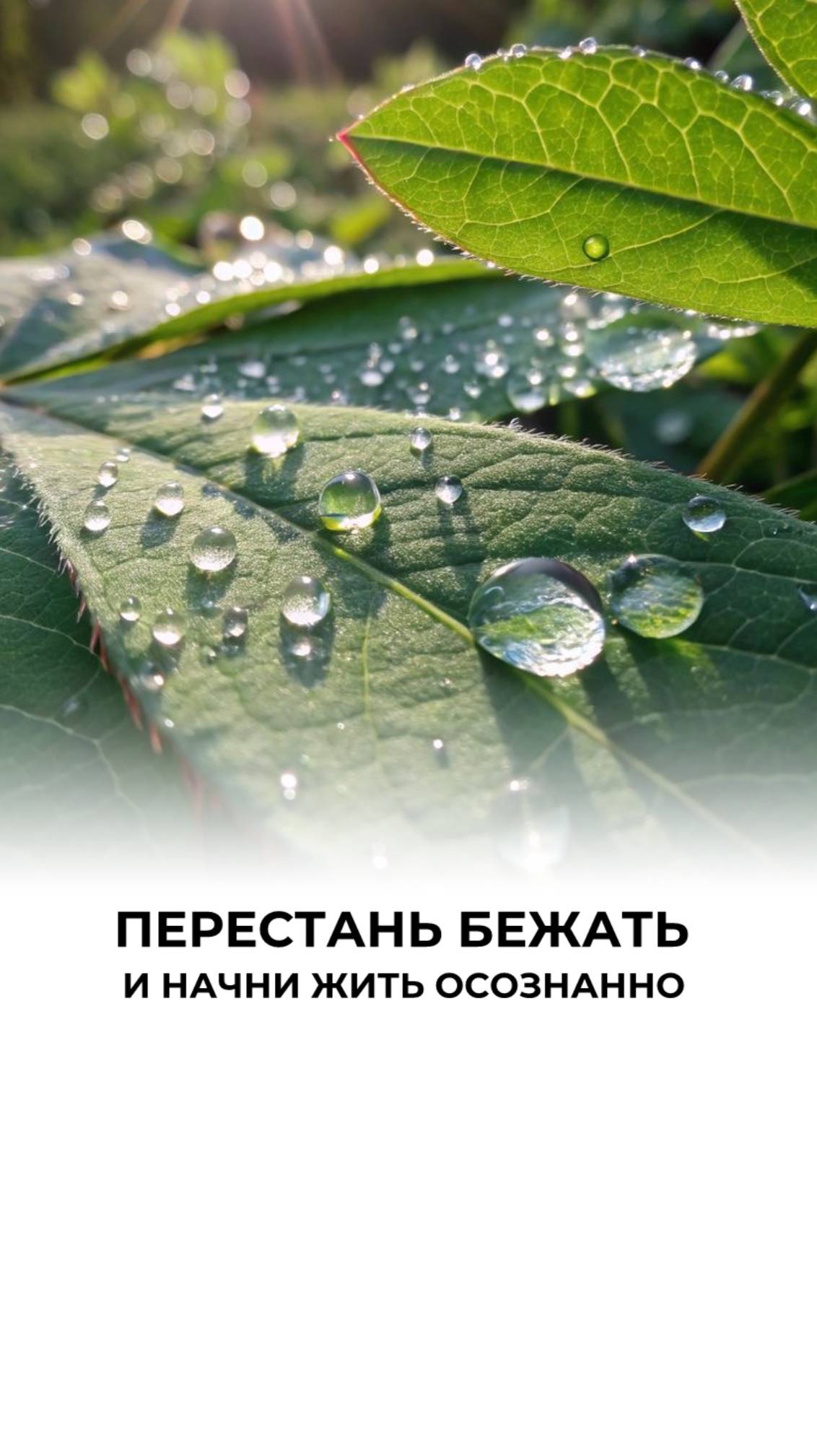 Остановите бег по кругу