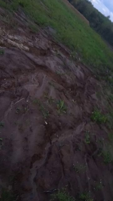 бибика поехали кататся