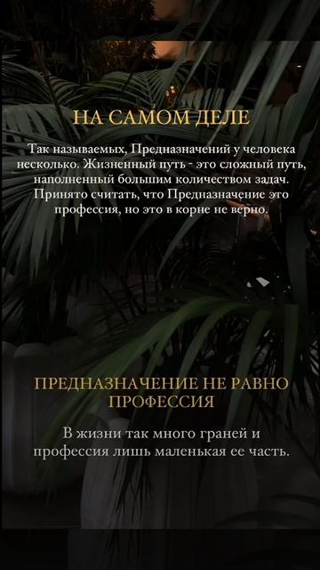 Предназначение и Миссия