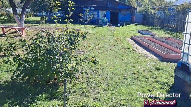 Первые дни октября