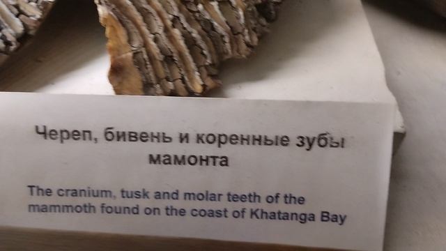 ещё немного из музея