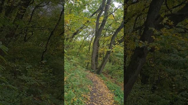 Шаги сквозь века