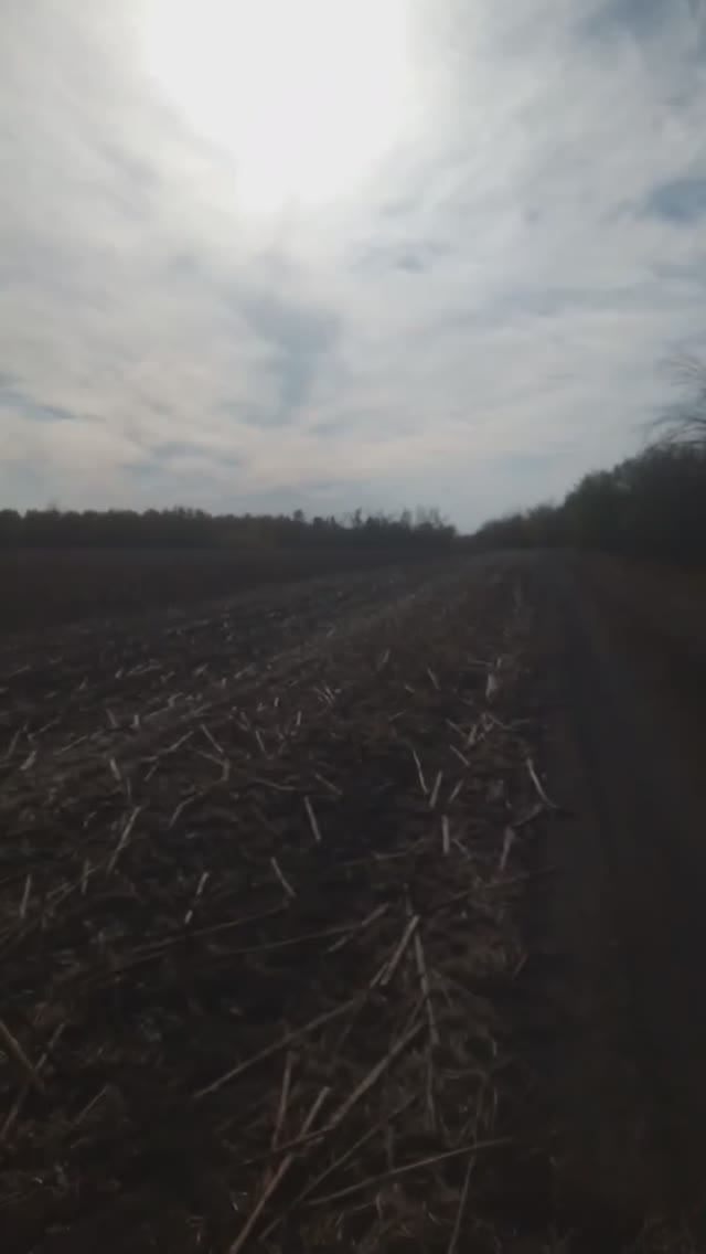 Обзор сбор семак в Деревне на поле