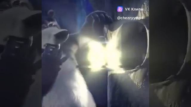 1000002479.mp4
