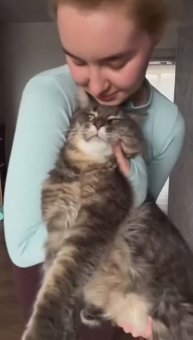 Кошарик... Абъюзивные отношения