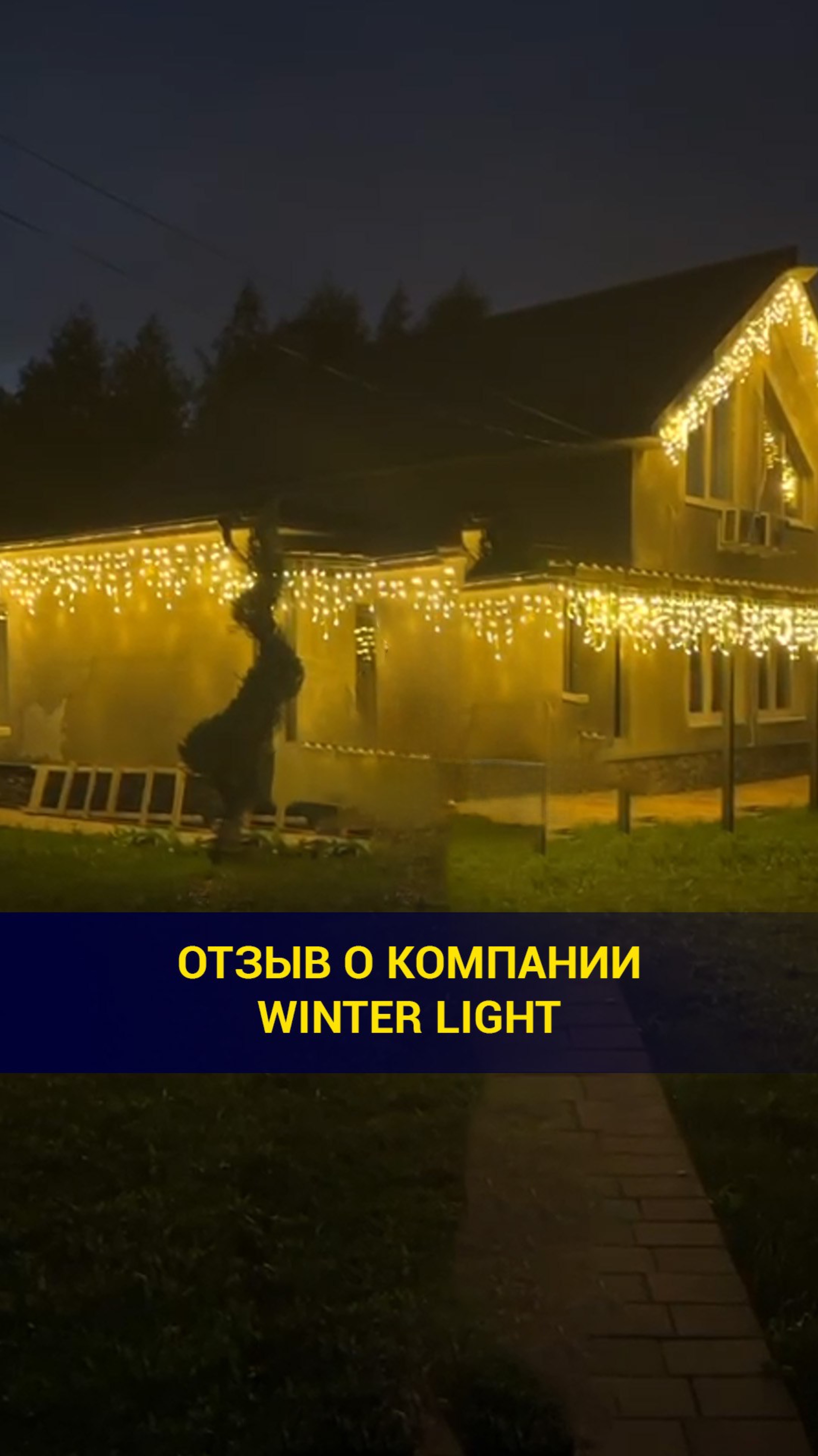 Отзыв о компании Winter Light