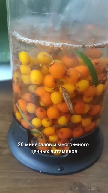 Облепиха