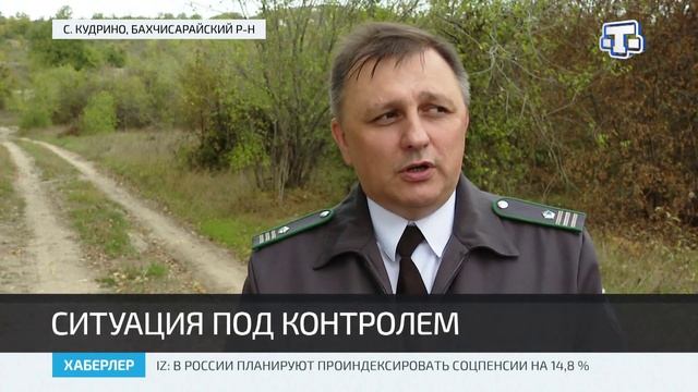 В Бахчисарайском районе проходят проверки Россельхознадзора