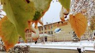 Ранним утром в воскресенье 05.10.2025/ Новосибирск/ Выпал ❄❄❄❄🌨🌨🌨🌨