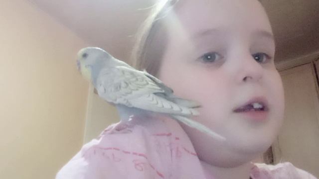чика сидит на плече 2 часть