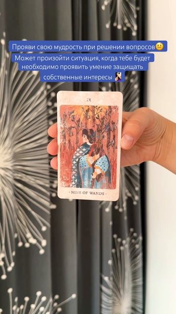 🪞#картадня #cardoftheday #таро #tarot #solar #kingdom #психология #psychology #совет