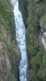 VID20251004170104.mp4