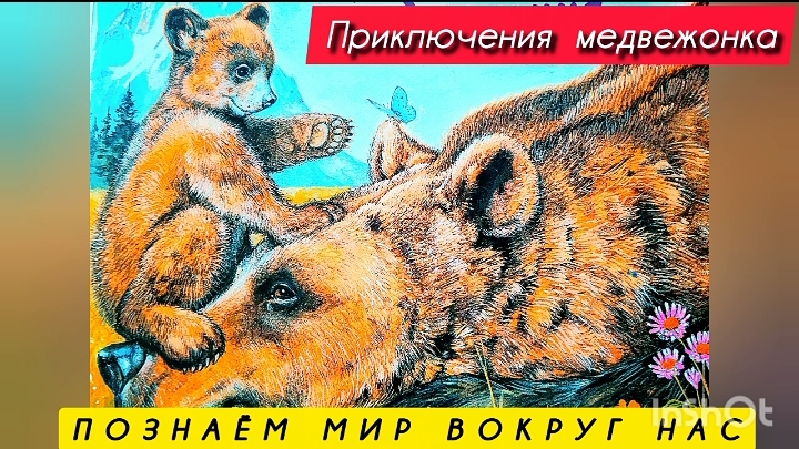 ПРИКЛЮЧЕНИЯ МЕДВЕЖОНКА / познаём мир вокруг нас/